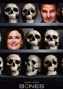 ʶ��Ѱ�ٵ��弾