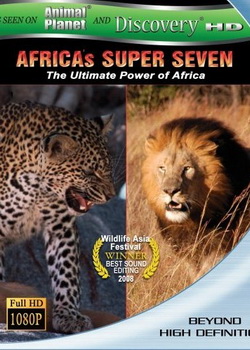 �����߰�