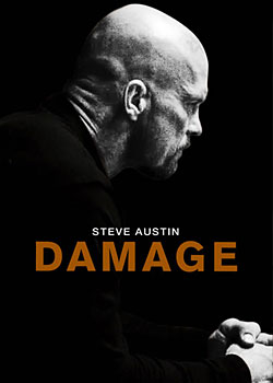 ����ȭ����2010