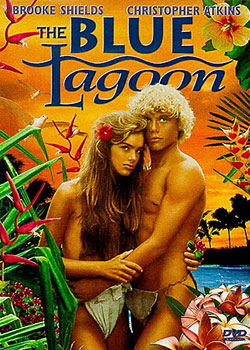 ����ɺ����