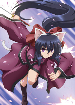 �ػ�è��糾�