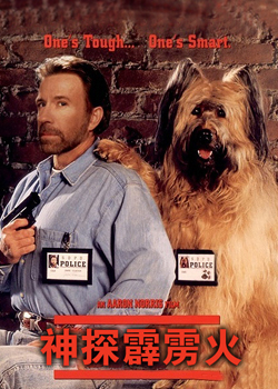 ��̽������