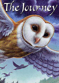 �����ߴ���