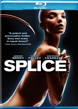 �����ӽ�